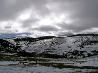 imgp2629