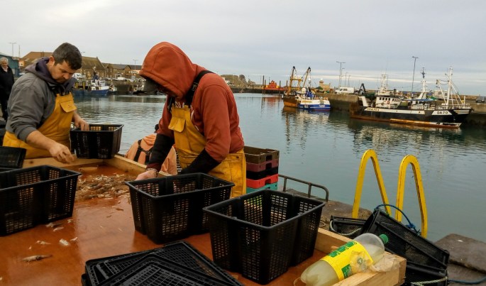 IMG_20161211_144939(1)