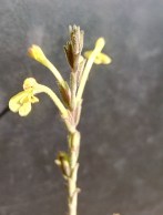 IMG_20180826_104740-1