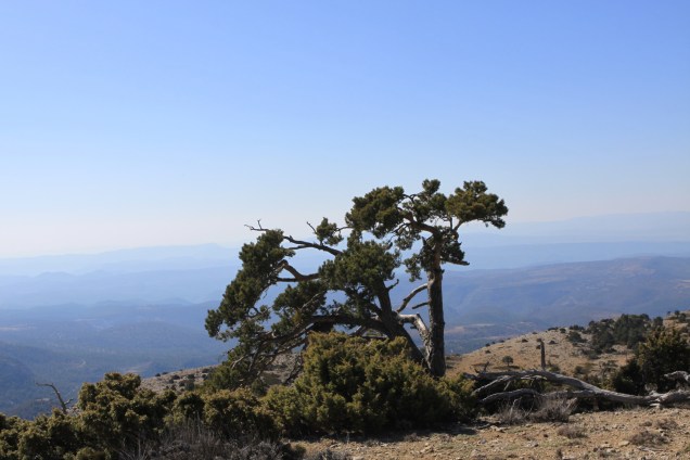 PAISAJE 3 ANGEL MARCO