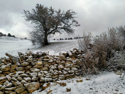 IMG_20191118_123954 (1)