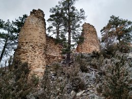 IMG_20191118_131147 (1)