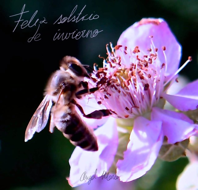 img-20191223-wa0008_original